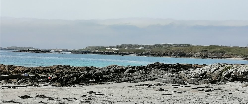 IMG_20220718_130414.jpg