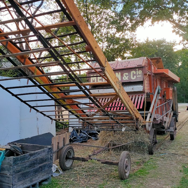 IMG20220910192103.jpg