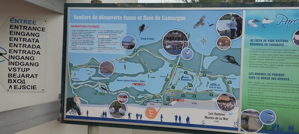 parc ornithologique.jpg