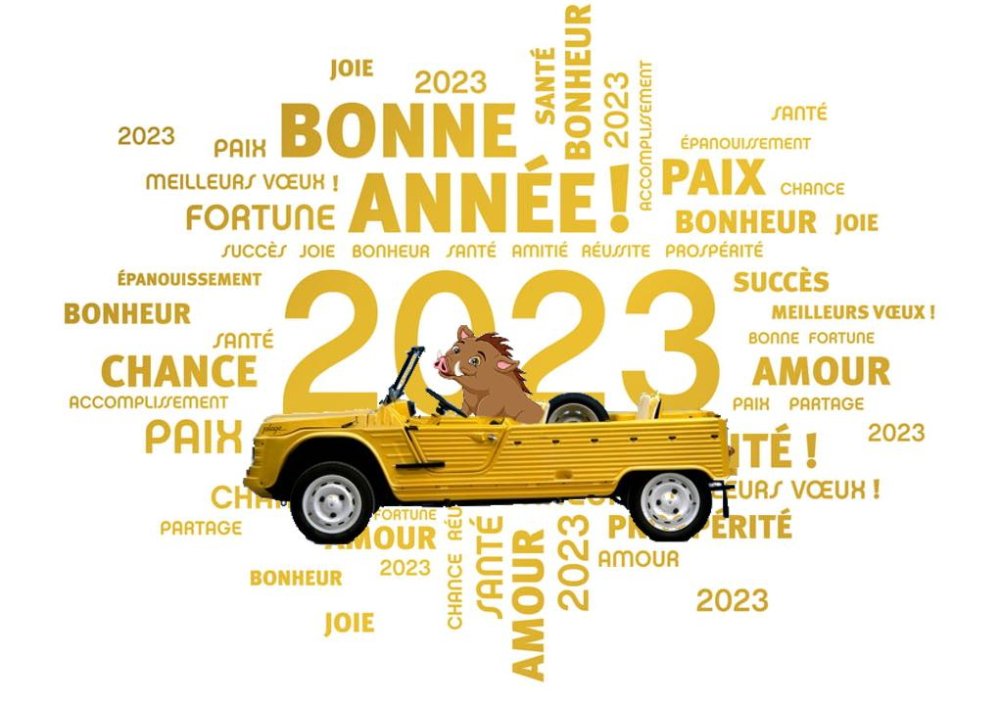Voeux 2023.jpg