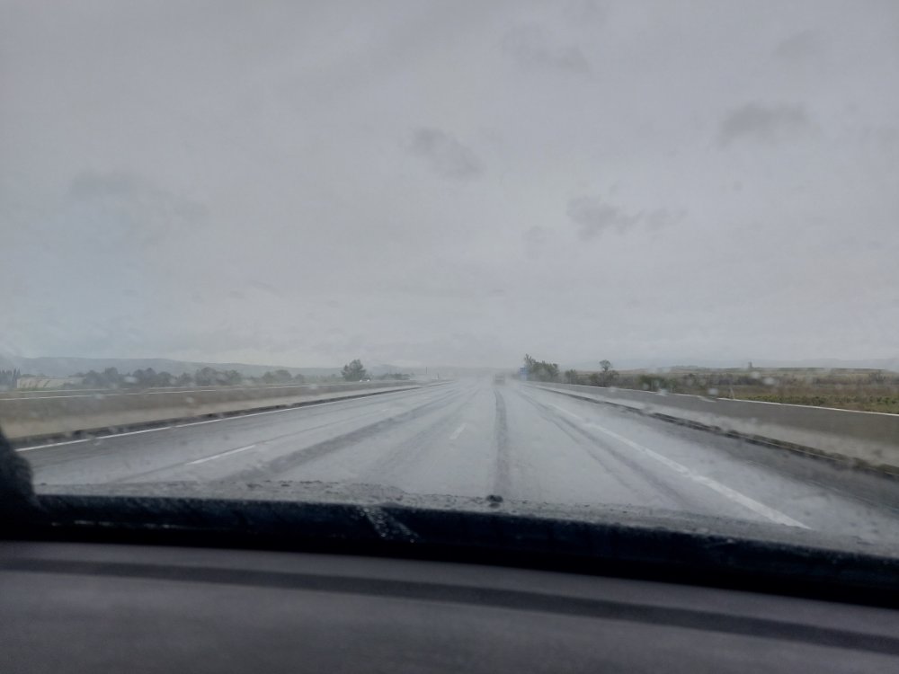 20230513_094541.jpg