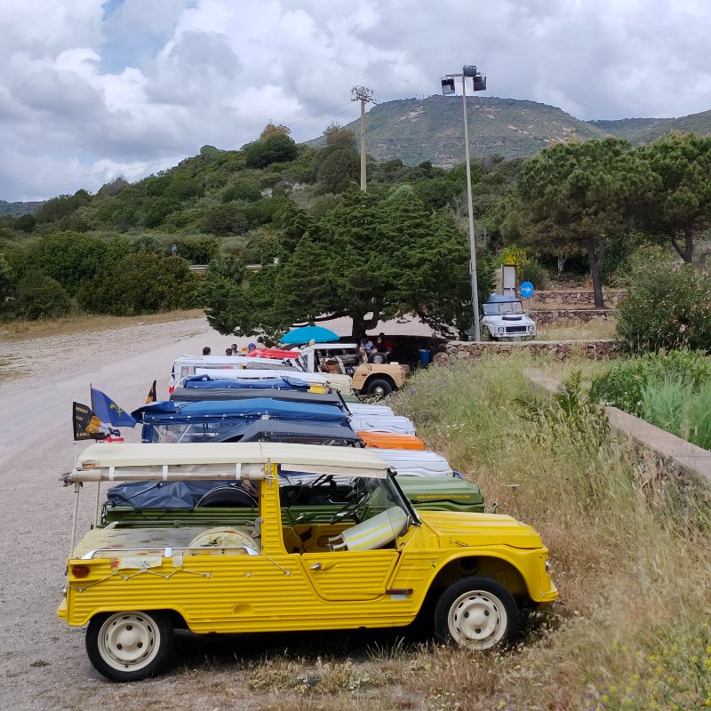 IMG20230514145555.jpg
