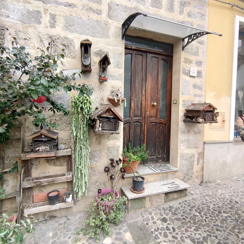 IMG20230516120833.jpg