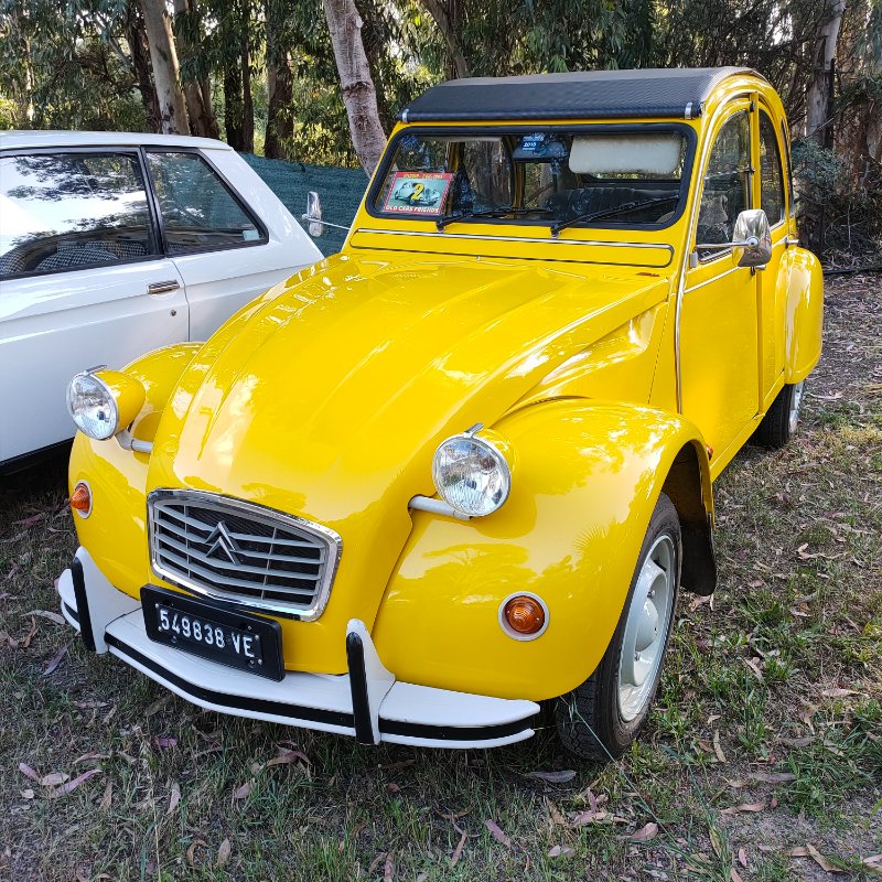 IMG20230516184405.jpg