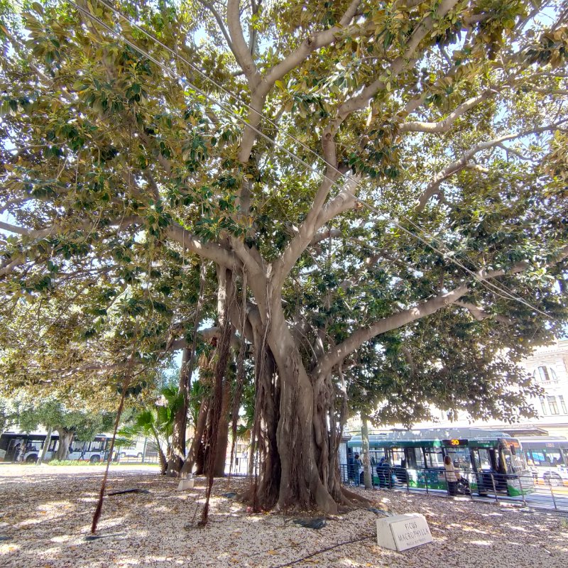 IMG20230517105540.jpg