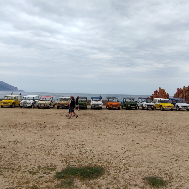 IMG20230518124711.jpg