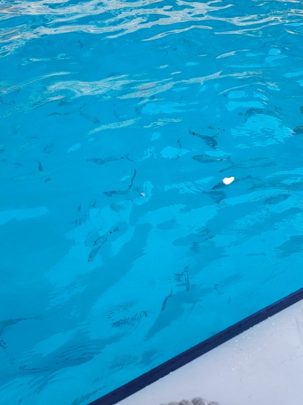 IMG20230519110604.jpg