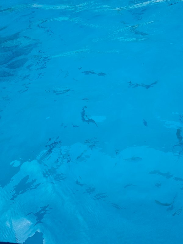 IMG20230519110619.jpg