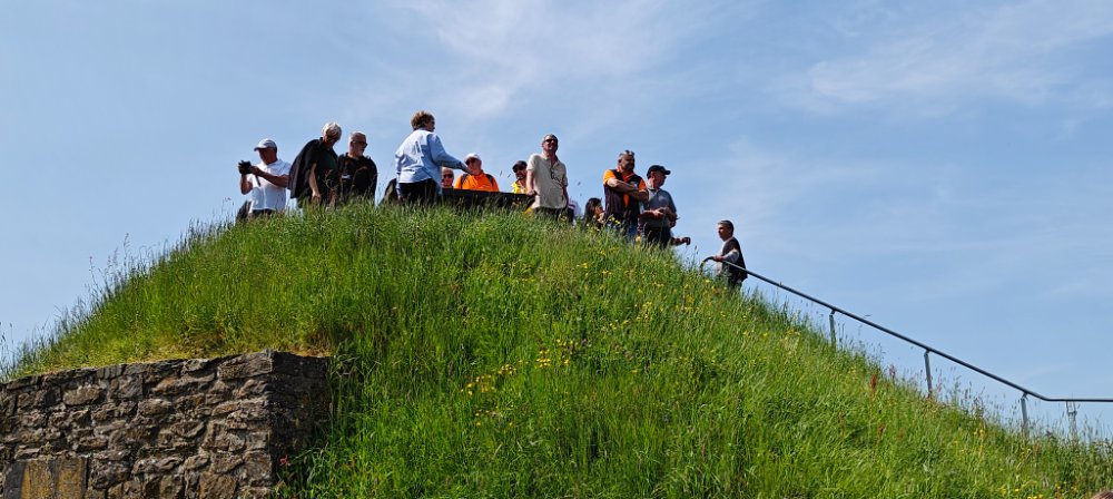 IMG20230527114129.jpg
