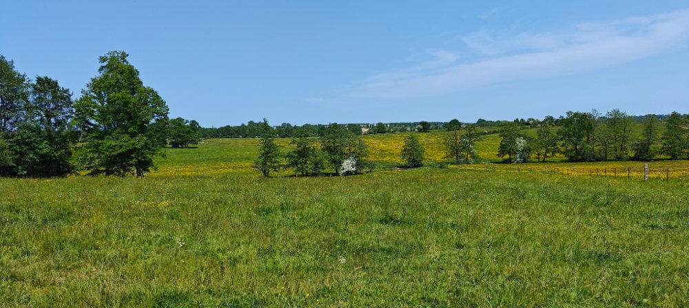 IMG20230527145034.jpg