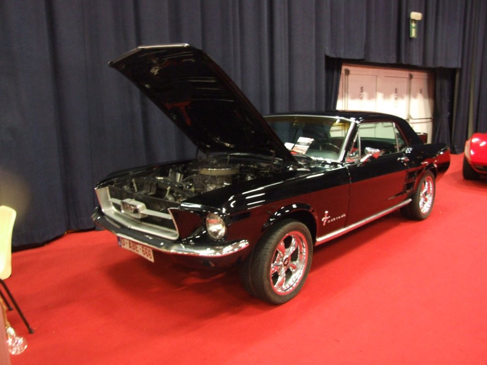DSCF9785.JPG