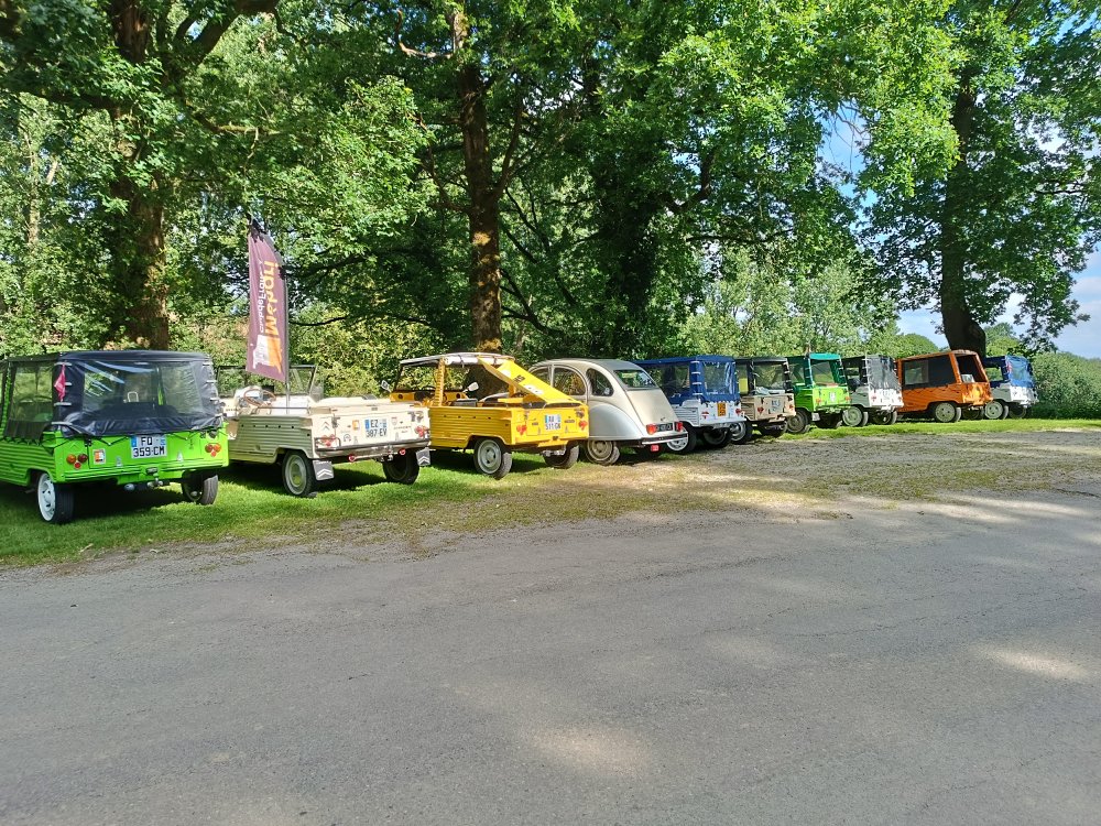 IMG_20240608_102803.jpg