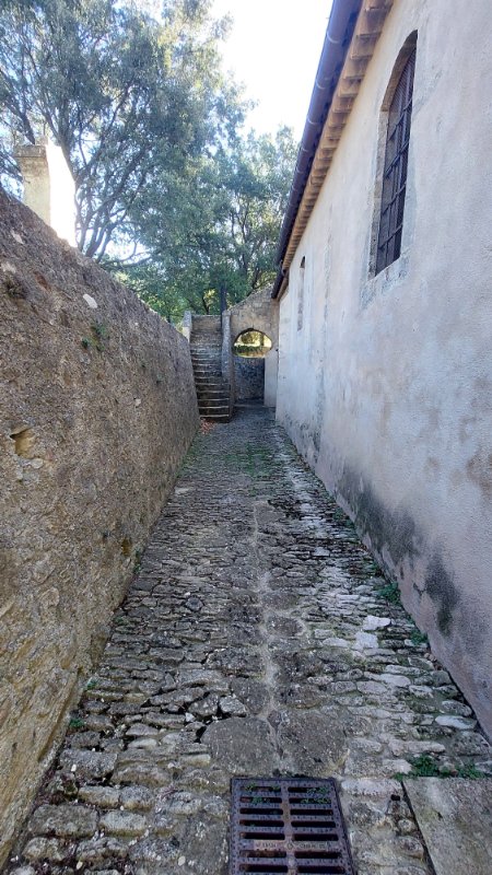 20240928_094450.jpg