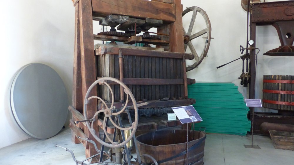 P1150735.JPG