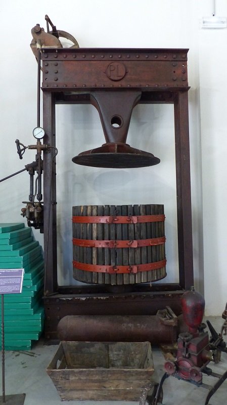 P1150731.JPG