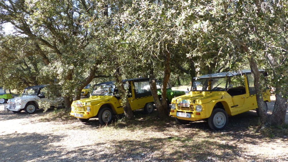 P1150746.JPG