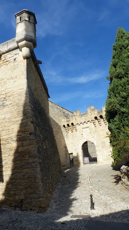P1150752.JPG
