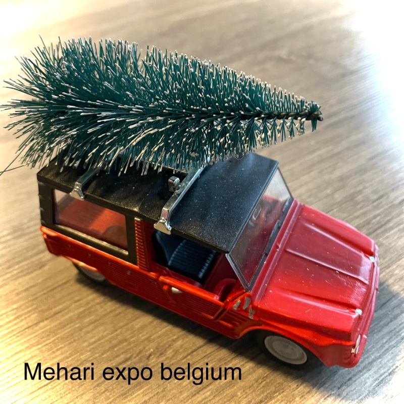 IMG_3577.jpeg
