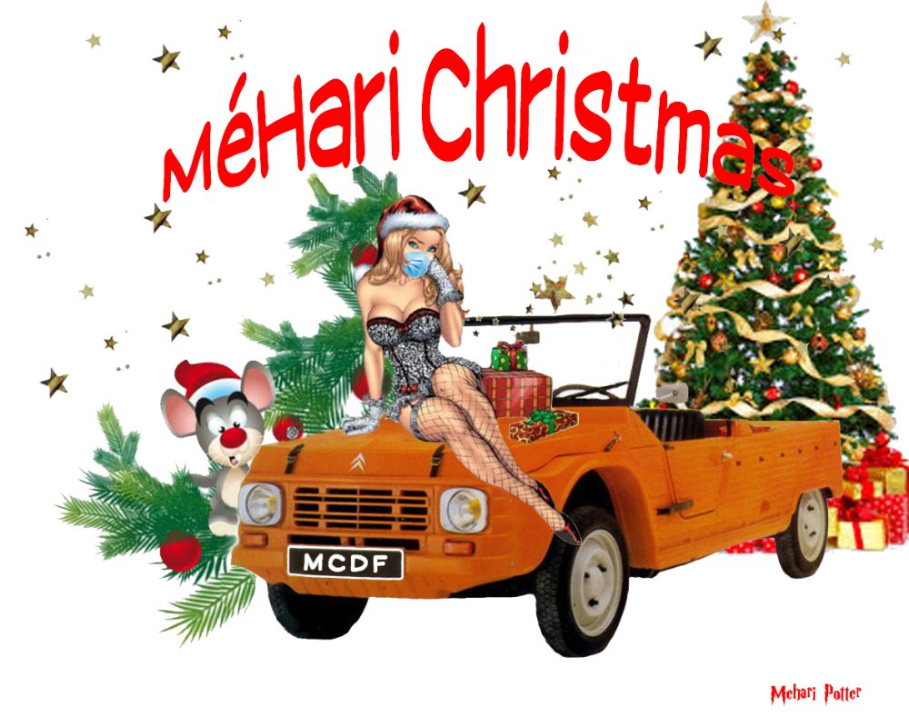 Méhari Christmas 2020.jpg
