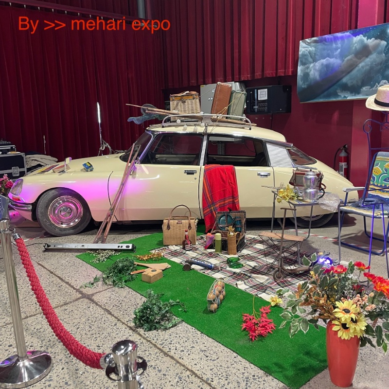 IMG_3981.jpeg