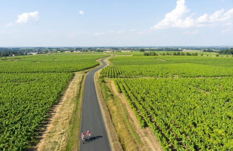 boucle-le-voyage-dans-le-vignoble-levignoblenantes-tourisme-800x520.jpg
