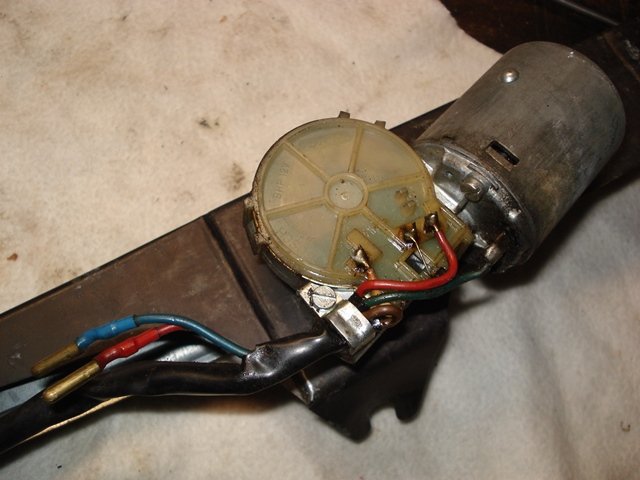 wDSC03955.JPG