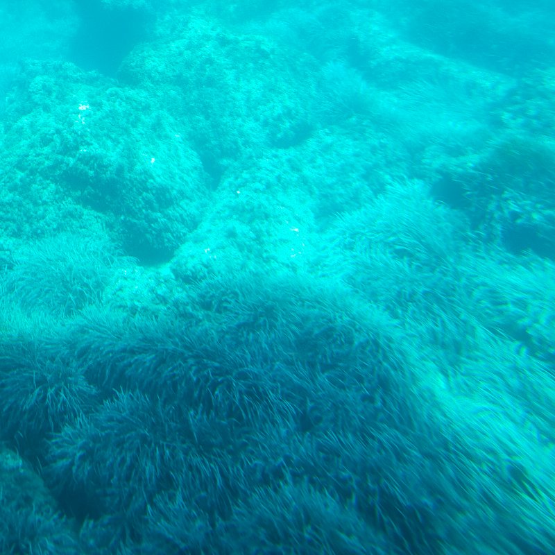 IMG20210913140540.jpg