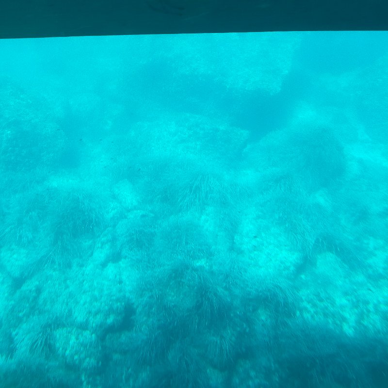 IMG20210913140317.jpg