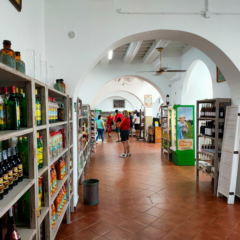 IMG20210913154859.jpg
