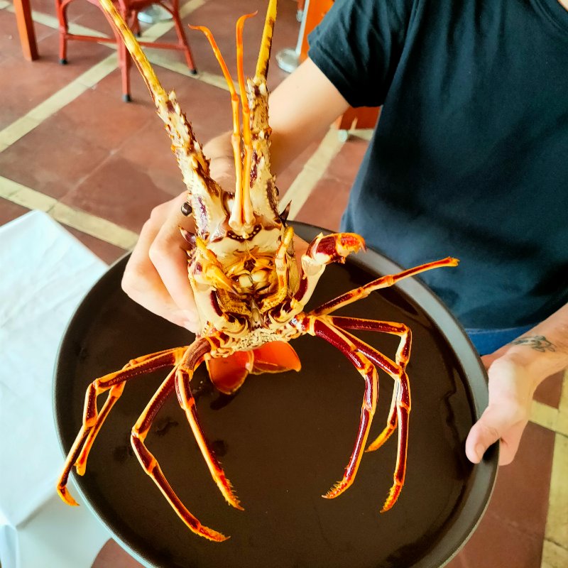 IMG20210915143542.jpg