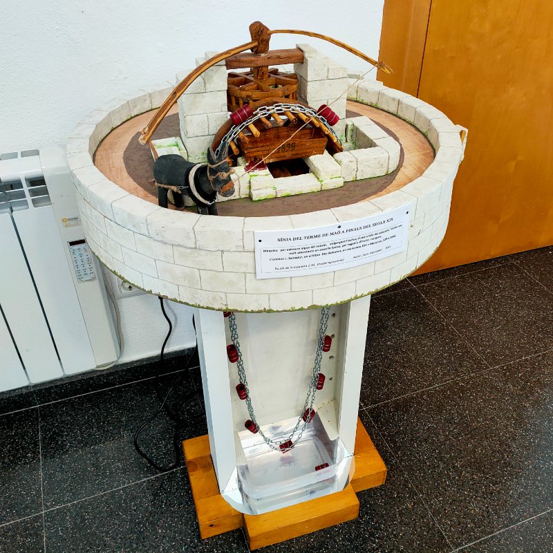 IMG20210916120335.jpg