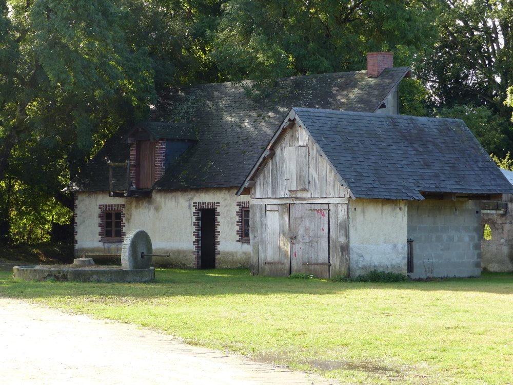 P1130556.JPG