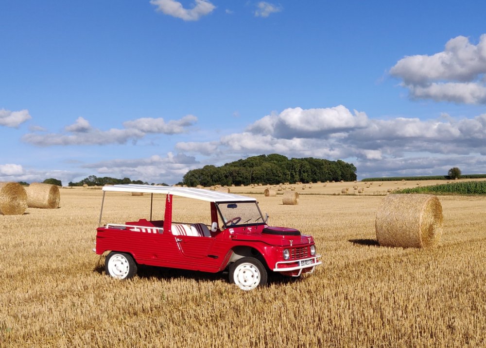 La belle des champs &quot;sans vouloir en faire un fromage&quot;