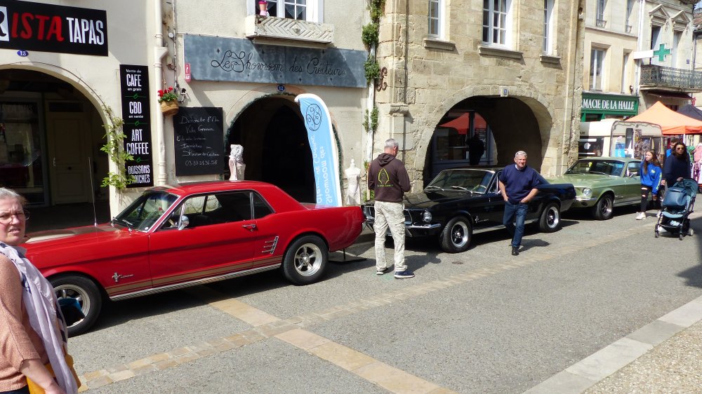 Mustang trio.JPG