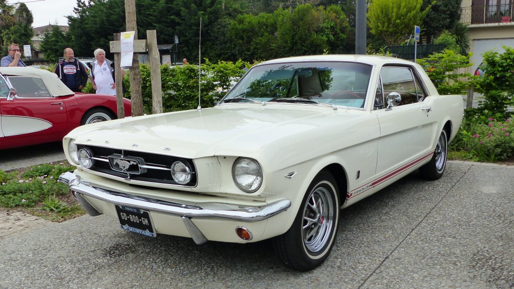 Mustang.JPG