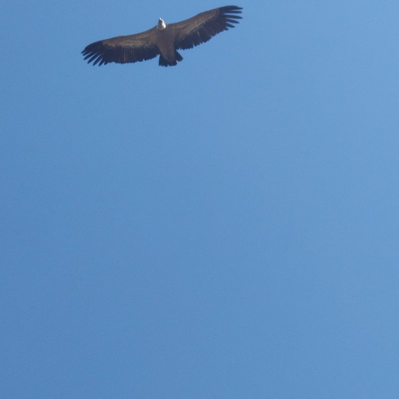 IMG20220523105304.jpg