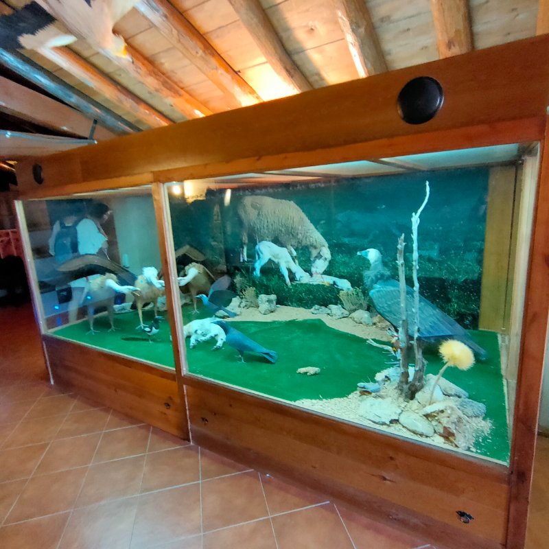 IMG20220523123538.jpg