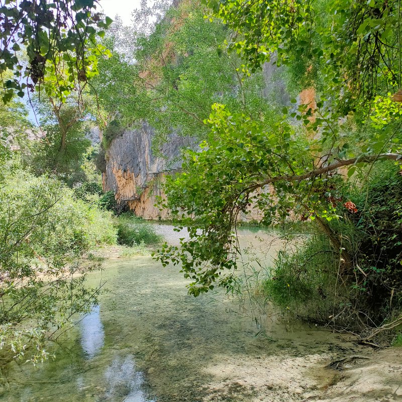 IMG20220523161051.jpg