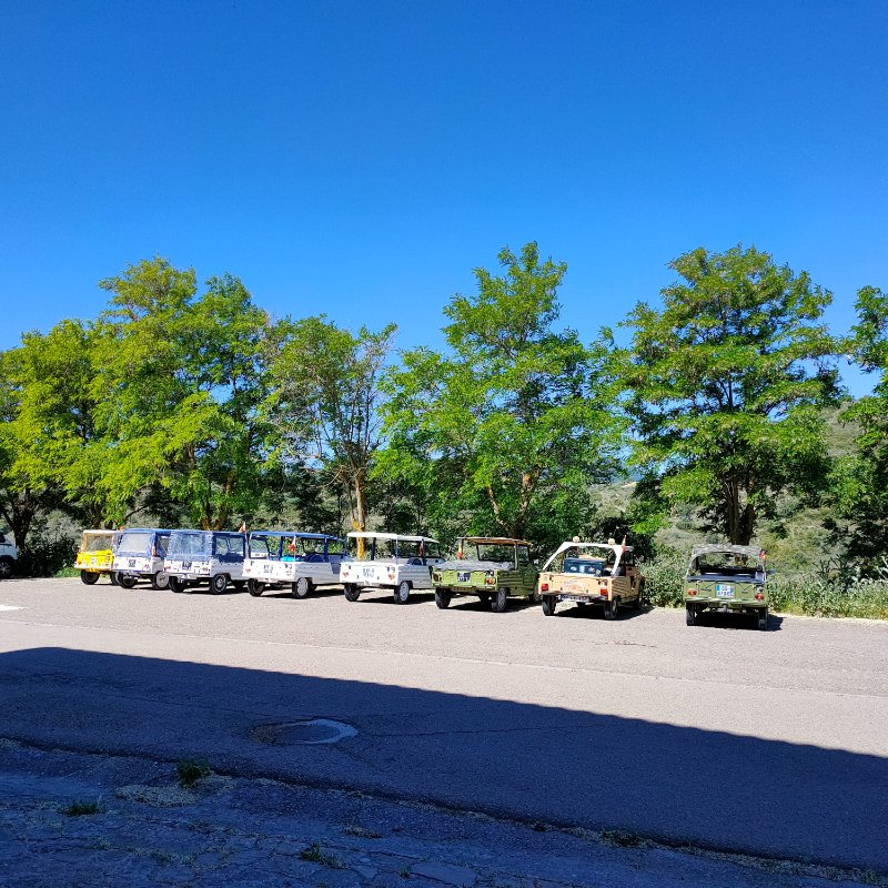 IMG20220527113758.jpg