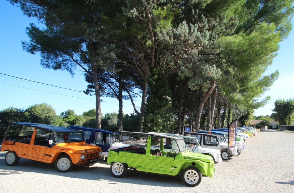 Toutes plus belles les unes que les autres sous le soleil de Provence