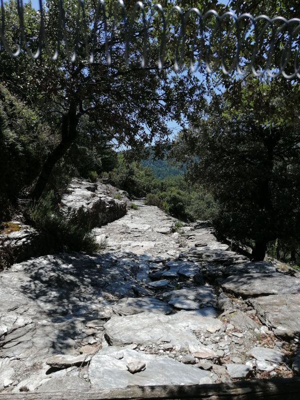 Sentier des cévennes